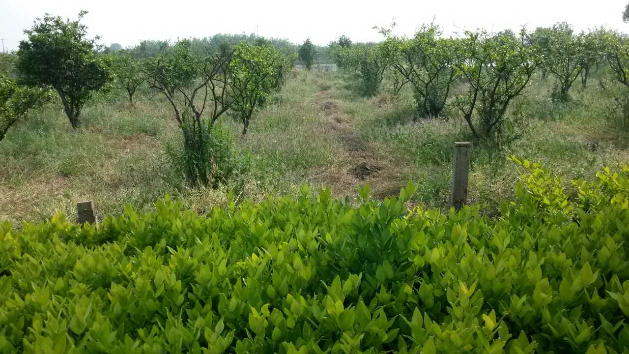 東海福地基地展示(2)